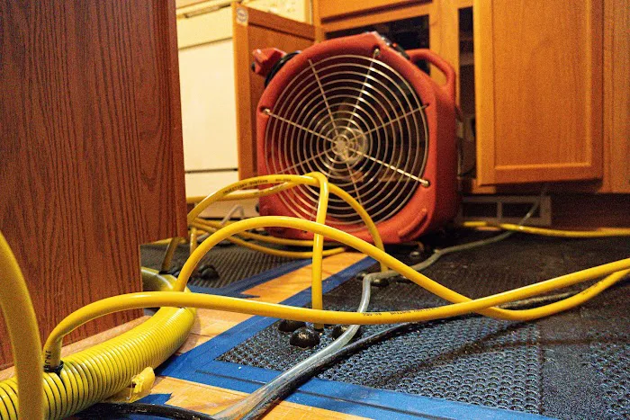 Restoration 1 of Clawson Picture 2