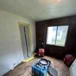 Restoration 1 of Clawson