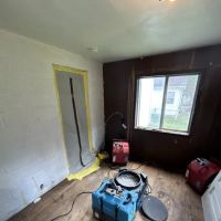 Restoration 1 of Clawson ico