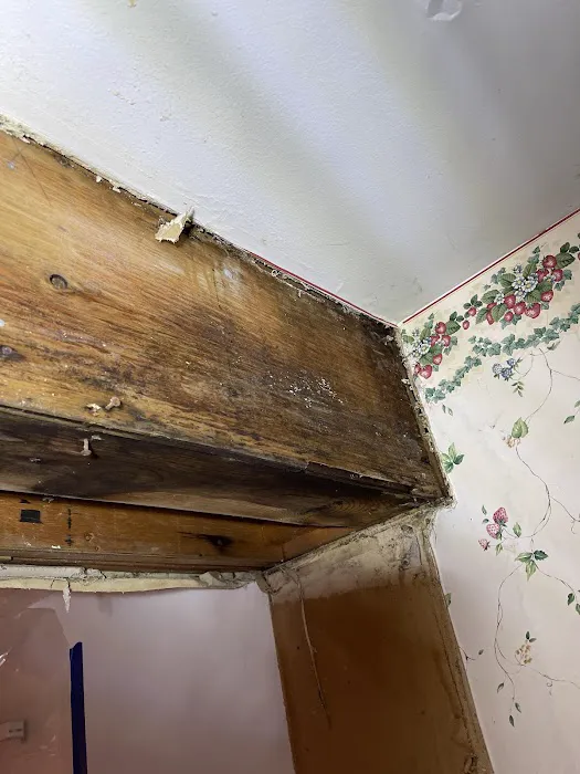 Restoration 1 of Clawson Picture 7