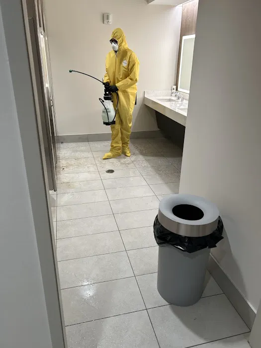 Restoration 1 of Clawson Picture 8