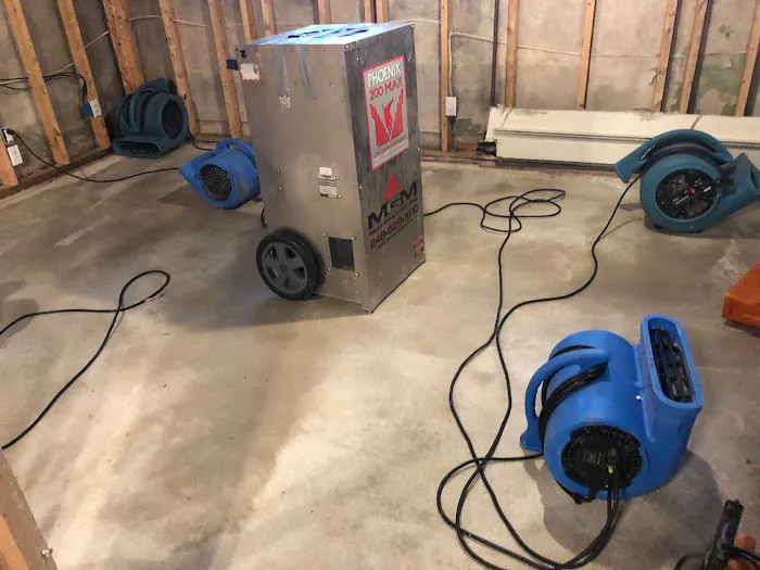 MGM Restoration Picture 4