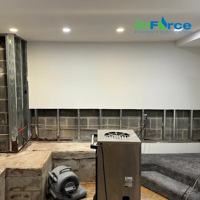 DriForce Property Restoration Picture 10