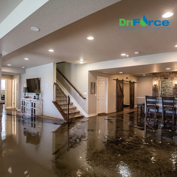 DriForce Property Restoration Picture 7