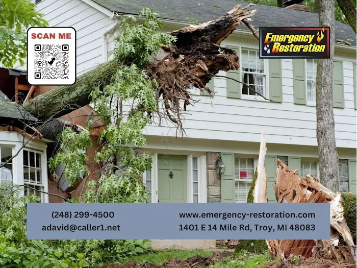 Emergency Restoration Picture 6