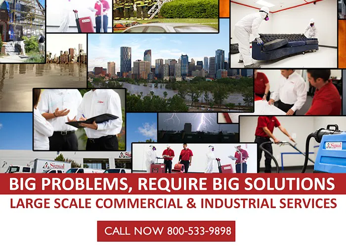 Signal Restoration Services Picture 10