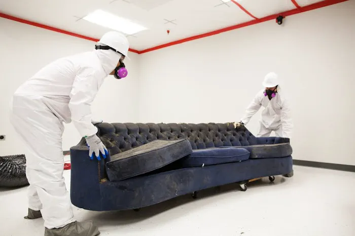 Signal Restoration Services Picture 9