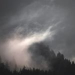 Seco Water Damage Restoration and Mold Removal