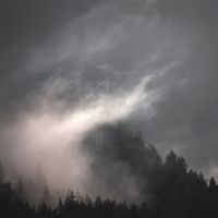 Seco Water Damage Restoration and Mold Removal ico