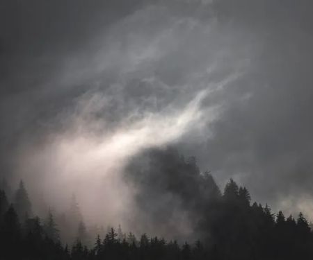 Seco Water Damage Restoration and Mold Removal