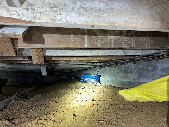 Property Loss Management, LLC Picture 9