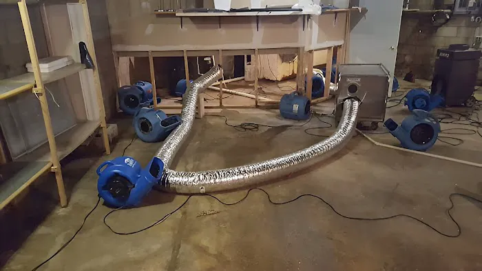 Harrison's Cleanup Picture 3