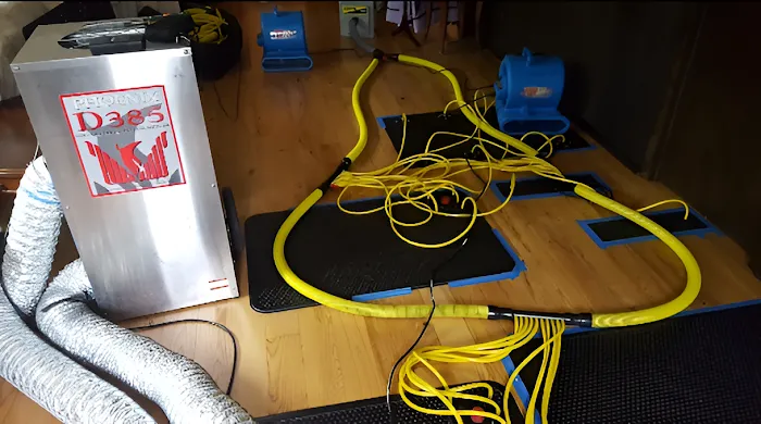 Harrison's Cleanup Picture 9