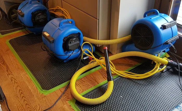 Magic Touch Carpet Cleaning & Water Damage Restoration Picture 9