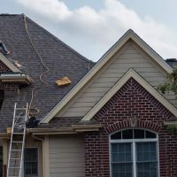 RJI Professionals, Inc. ico