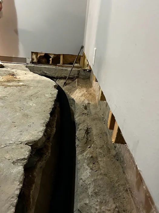 Zander Solutions Picture 2