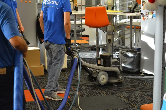 Skyline Services, Inc. Picture 2