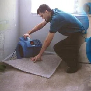 Story Restoration Picture 8