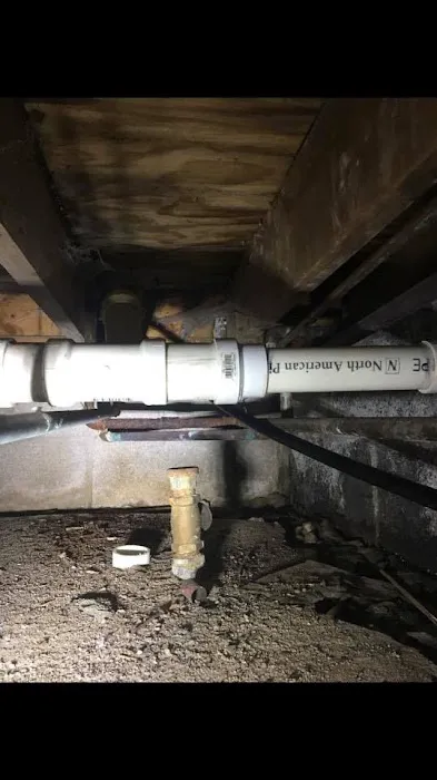 Story Restoration Picture 5