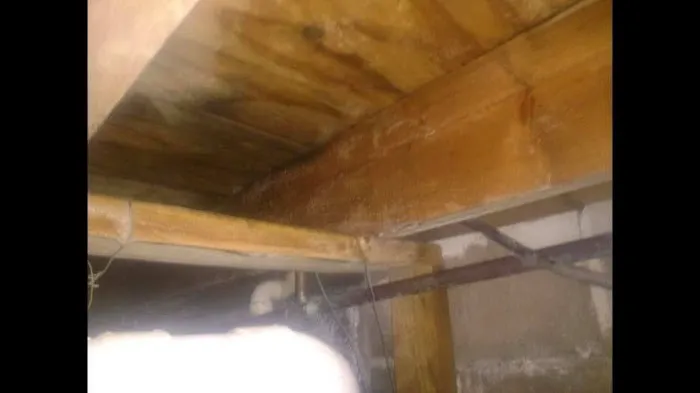 Story Restoration Picture 4