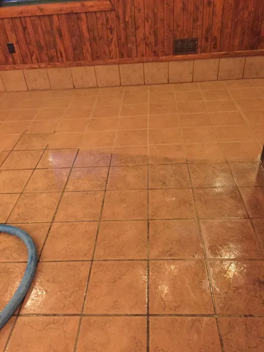 High Performance Carpet Cleaning and Restoration Picture 1