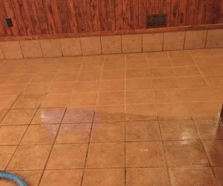 High Performance Carpet Cleaning and Restoration