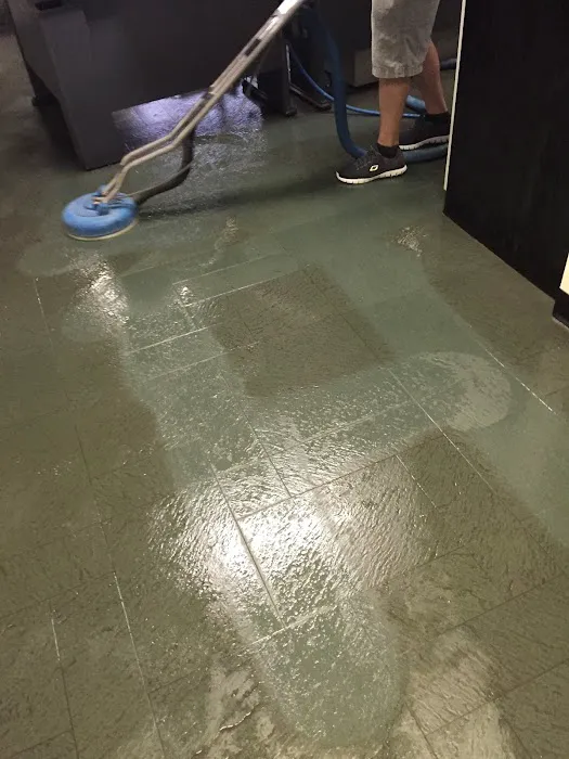 High Performance Carpet Cleaning and Restoration Picture 5