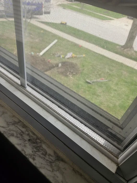 Roto Rooter Plumbing & Drain Service Picture 5