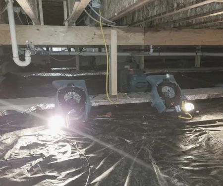 24 Hour Flood Pros of Michigan