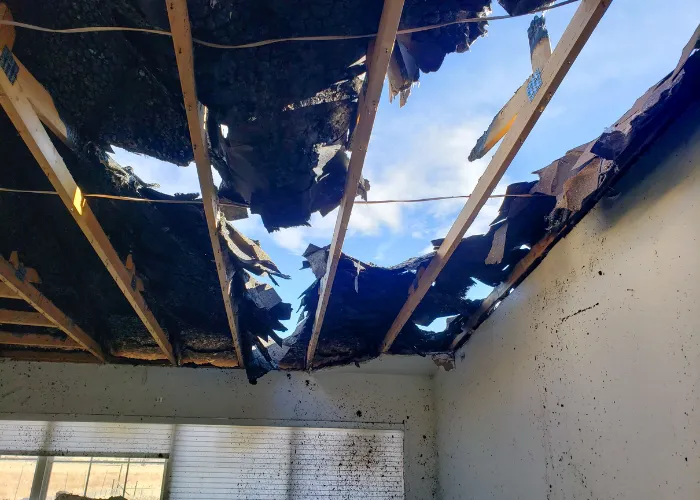 24 Hour Flood Pros of Michigan Picture 10