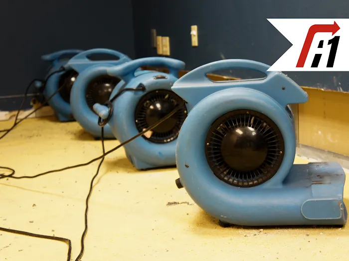 A1 Restoration of Michigan Picture 2