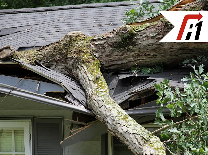 A1 Restoration of Michigan Picture 4