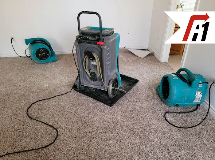 A1 Restoration of Michigan Picture 10