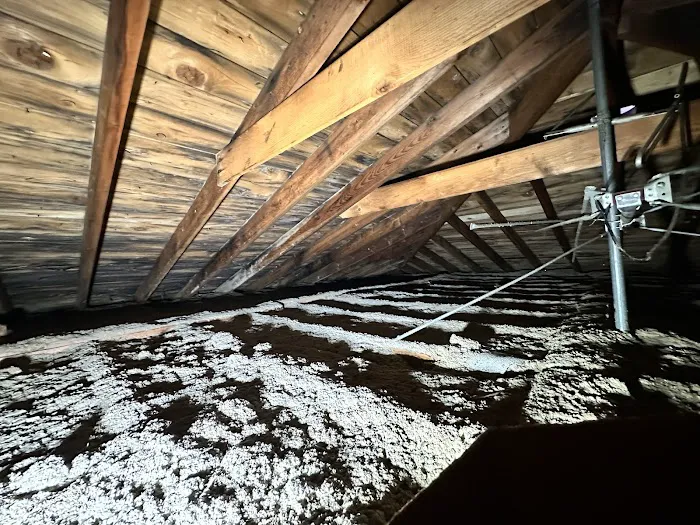 Micronix Mold & Trauma Services LLC Picture 3