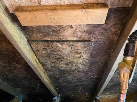 Micronix Mold & Trauma Services LLC Picture 1