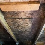 Micronix Mold & Trauma Services LLC