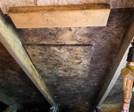 Micronix Mold & Trauma Services LLC