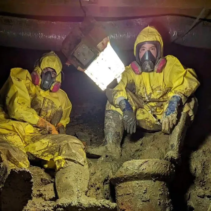 Micronix Mold & Trauma Services LLC Picture 7