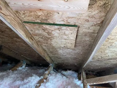 Micronix Mold & Trauma Services LLC Picture 8