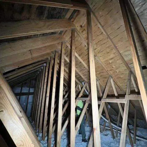 Micronix Mold & Trauma Services LLC Picture 5