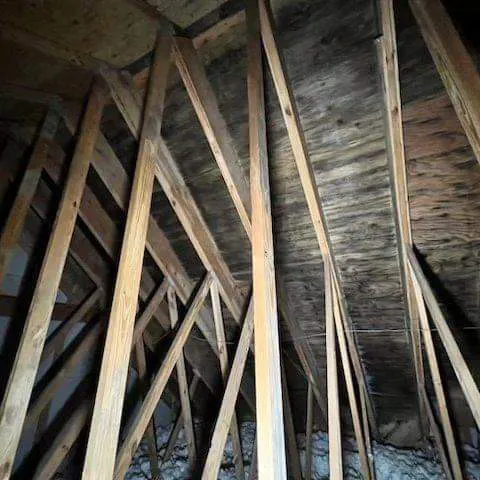 Micronix Mold & Trauma Services LLC Picture 9