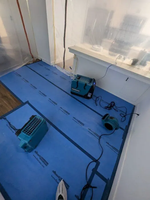 Bentley Cleanup Picture 6