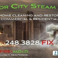 Motor City Steam Team ico