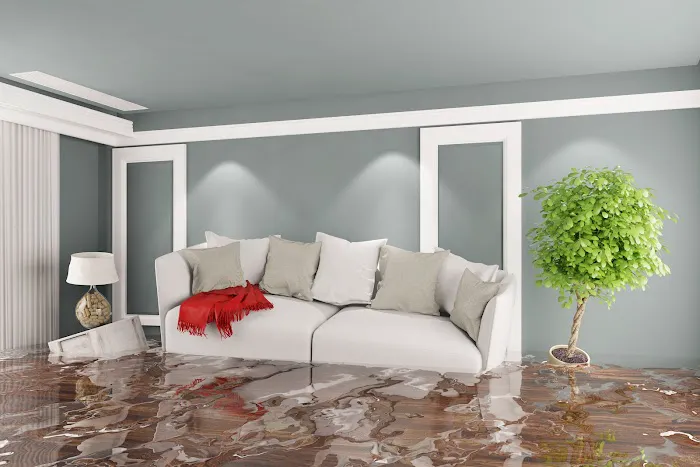 On Site Specialty Cleaning and Restoration Picture 6