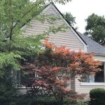 All Weather Restoration LLC