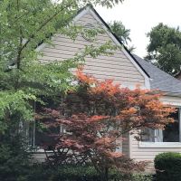 All Weather Restoration LLC ico