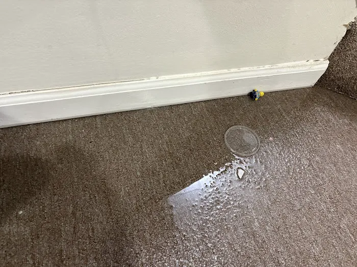 Action Extraction Inc of Macomb County Picture 5