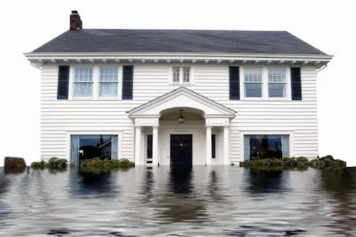 Action Extraction Inc of Macomb County Picture 3