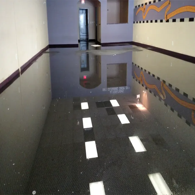 Action Extraction Inc of Macomb County Picture 1