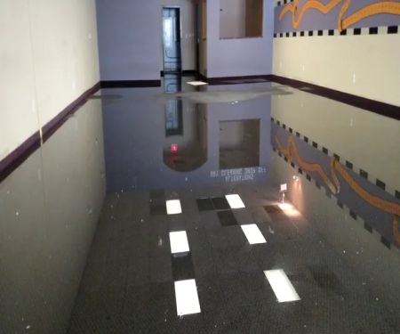 Action Extraction Inc of Macomb County